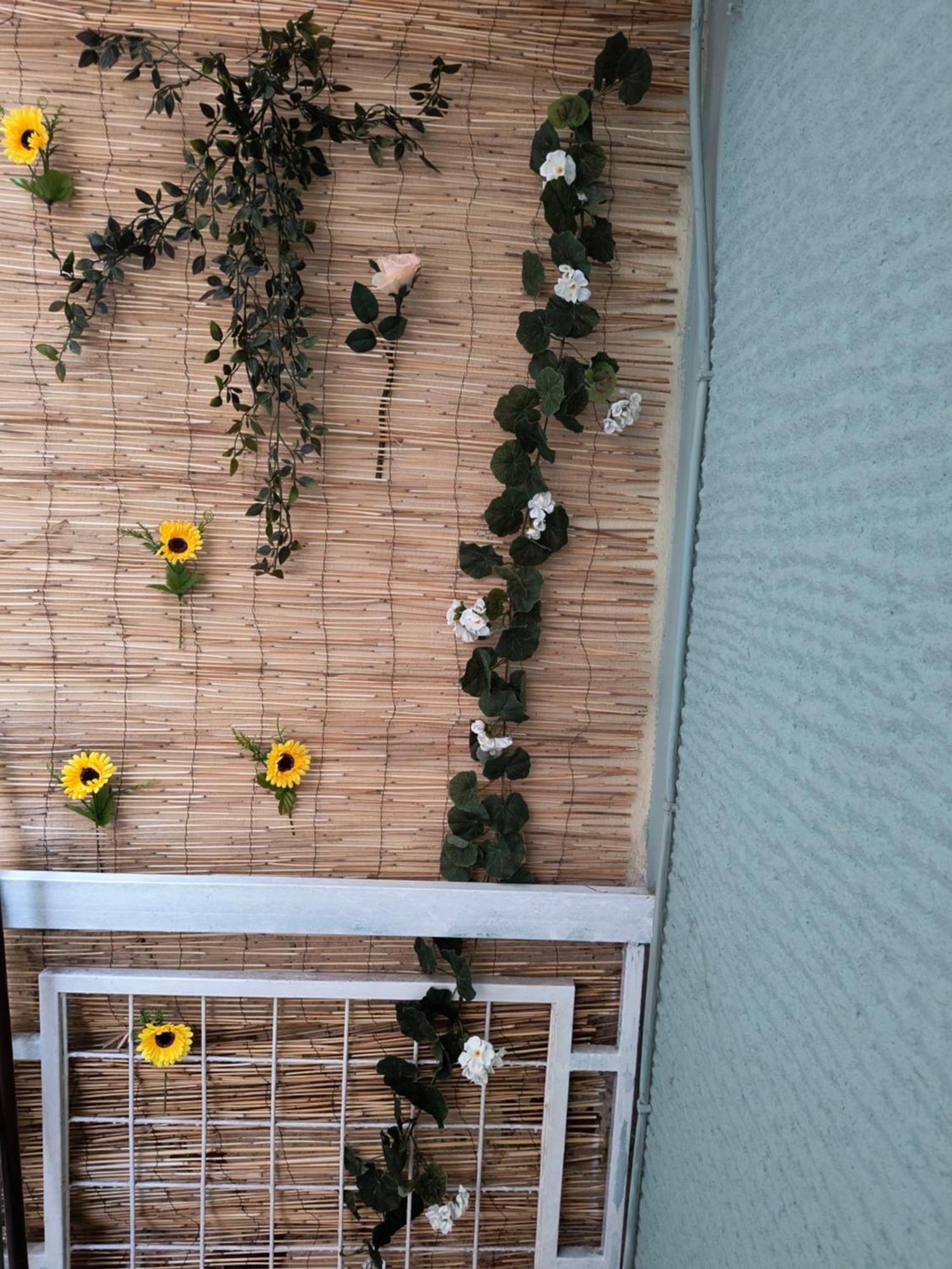 Amelies Apartments Paralía 外观 照片